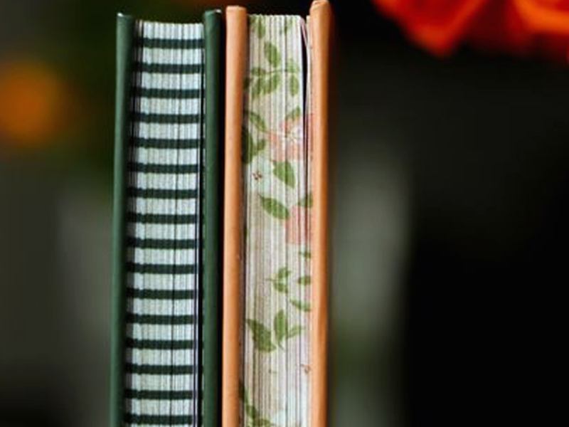 粉紅報告書